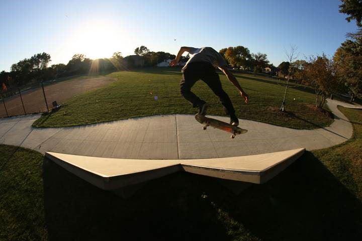 Peacock Skate Pieces 1